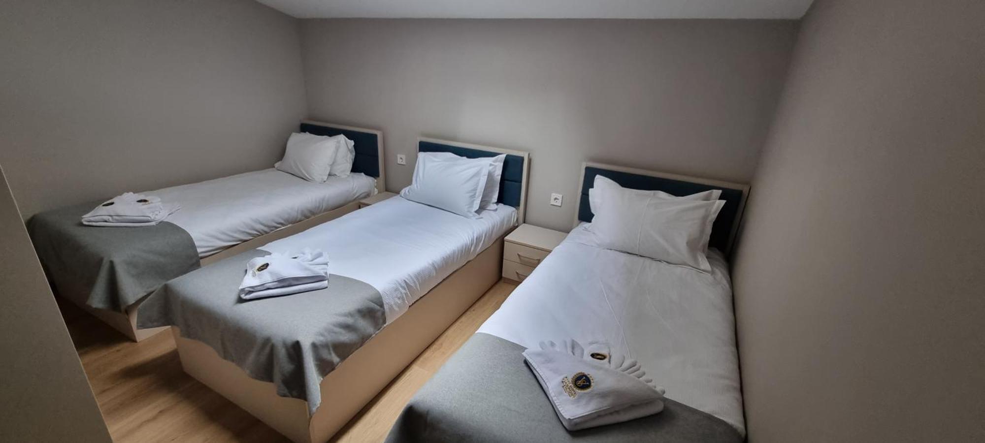 Park Hotel Viasport Gorni Dubnik Экстерьер фото
